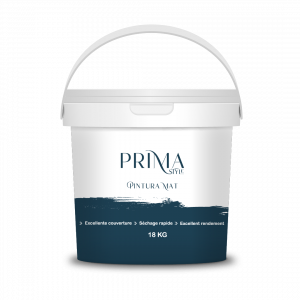pintura mat_Plan de travail 1